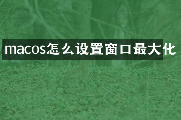 macos怎么设置窗口最大化