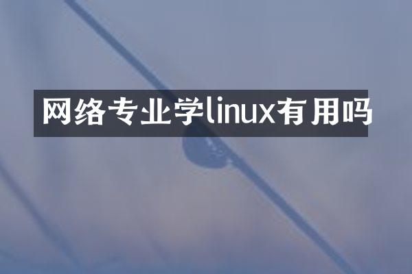 网络专业学linux有用吗
