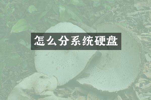 怎么分系统硬盘