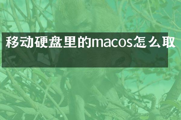 移动硬盘里的macos怎么取消