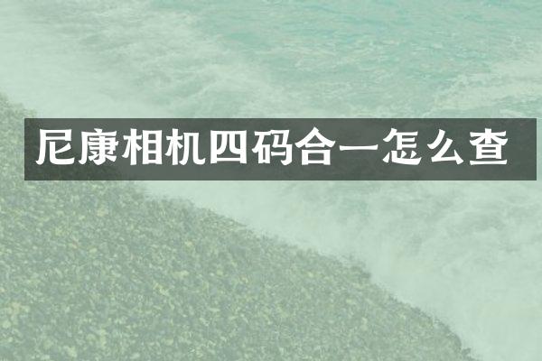 尼康相机四码合一怎么查