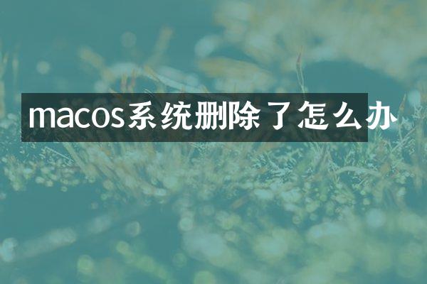 macos系统删除了怎么办