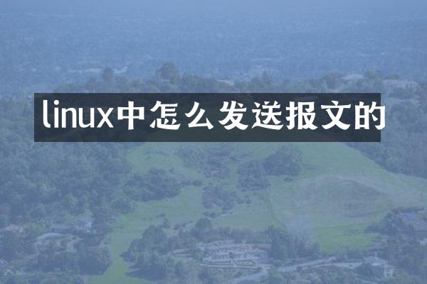 linux中怎么发送报文的
