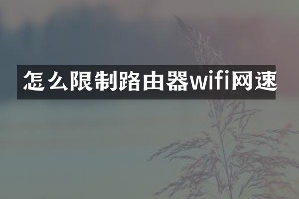 怎么限制路由器wifi网速