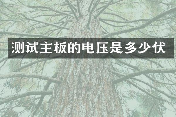 测试主板的电压是多少伏