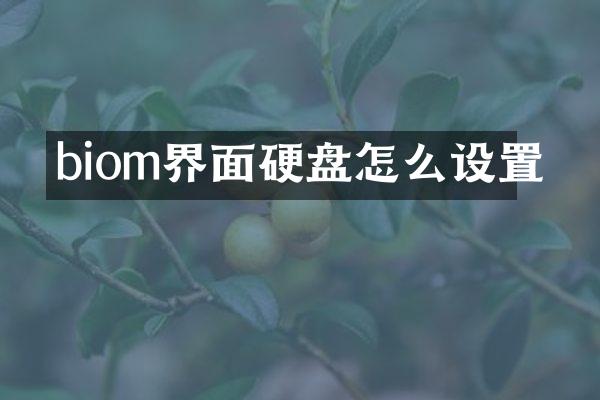 biom界面硬盘怎么设置