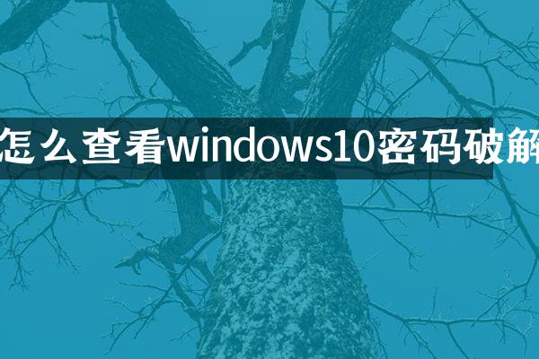 怎么查看windows10密码破解