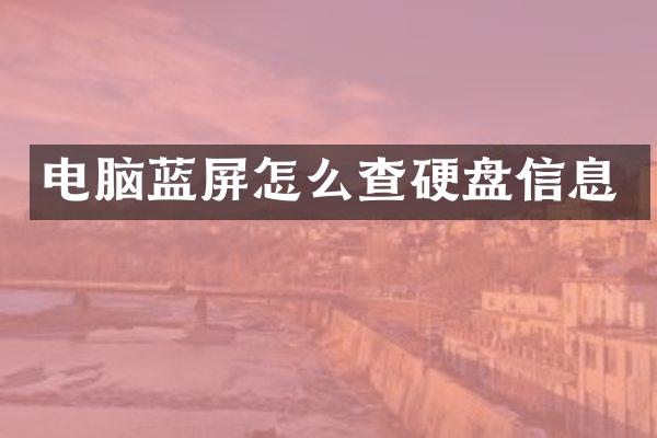 电脑蓝屏怎么查硬盘信息