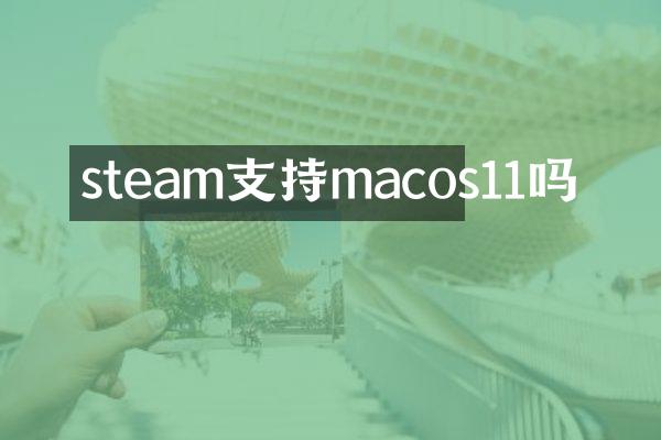 steam支持macos11吗