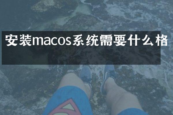 安装macos系统需要什么格式