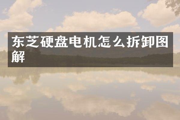 东芝硬盘电机怎么拆卸图解