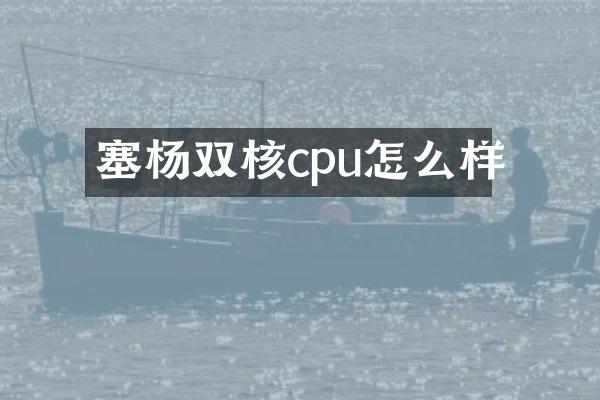 塞杨双核cpu怎么样