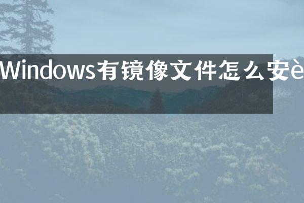 Windows有镜像文件怎么安装