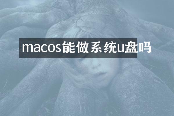 macos能做系统u盘吗