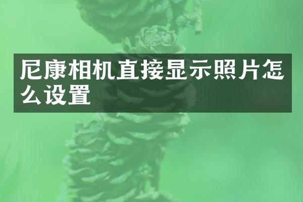 尼康相机直接显示照片怎么设置