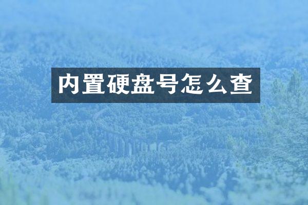 内置硬盘号怎么查