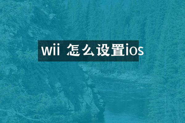 wii 怎么设置ios