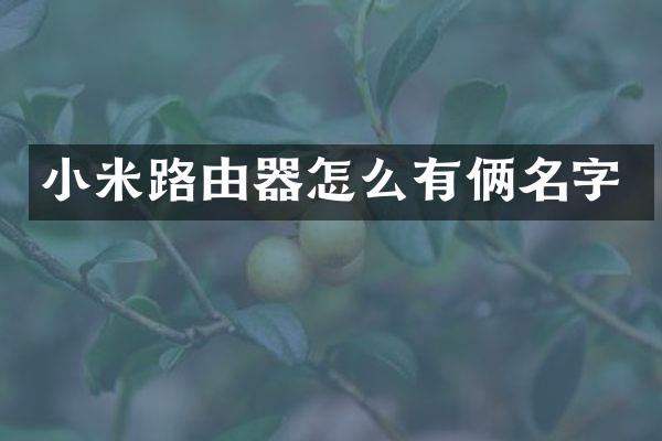 小米路由器怎么有俩名字