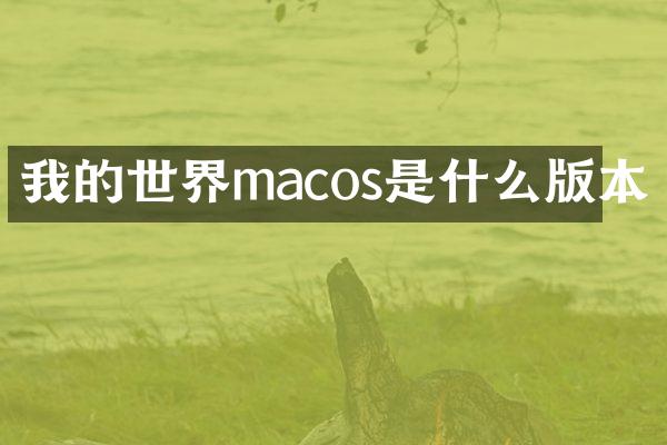 我的世界macos是什么版本