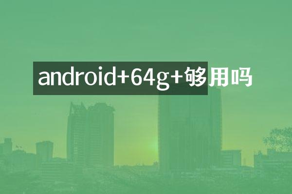 android+64g+够用吗