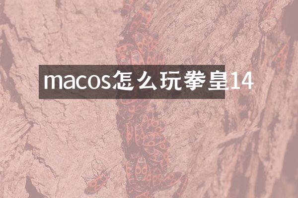 macos怎么玩拳皇14