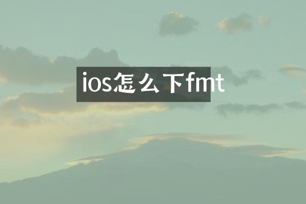 ios怎么下fmt