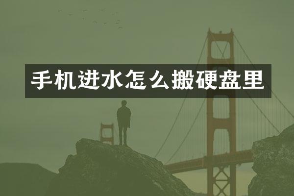 手机进水怎么搬硬盘里