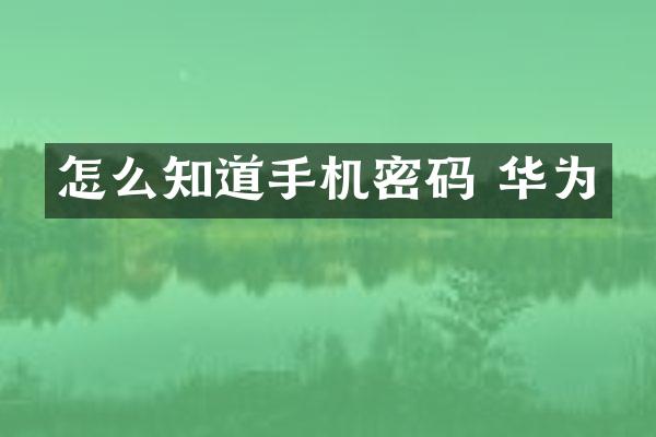 怎么知道手机密码 华为