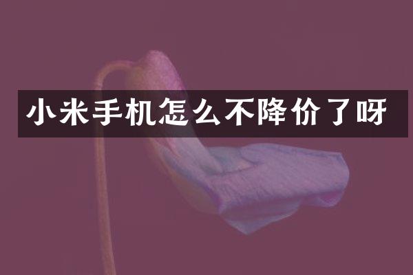 小米手机怎么不降价了呀