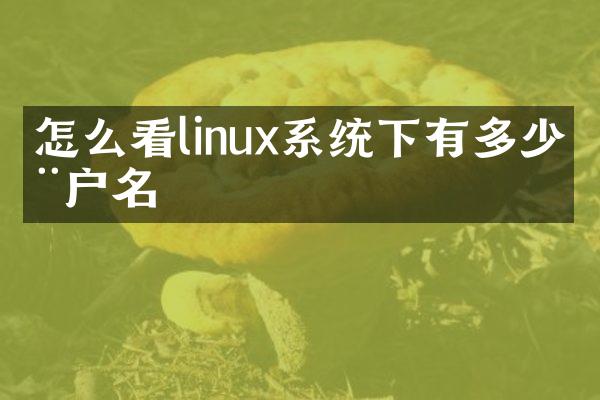 怎么看linux系统下有多少用户名