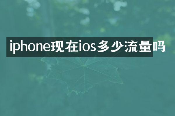 iphone现在ios多少流量吗