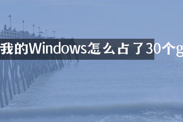 我的Windows怎么占了30个g