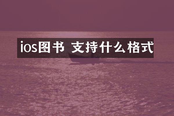 ios图书 支持什么格式