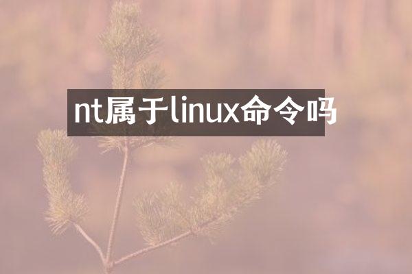 nt属于linux命令吗