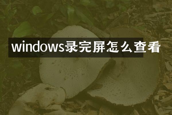 windows录完屏怎么查看
