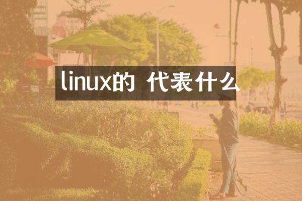 linux的 代表什么