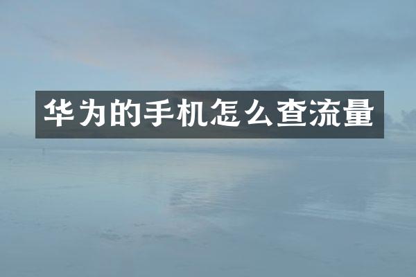华为的手机怎么查流量