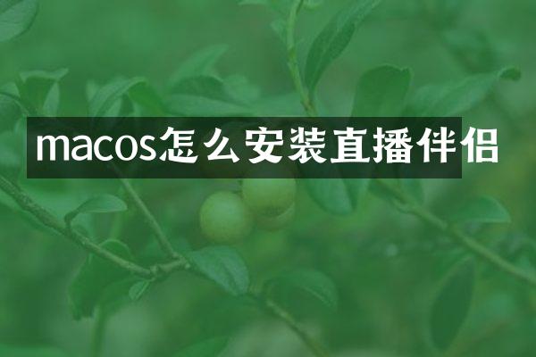 macos怎么安装直播伴侣