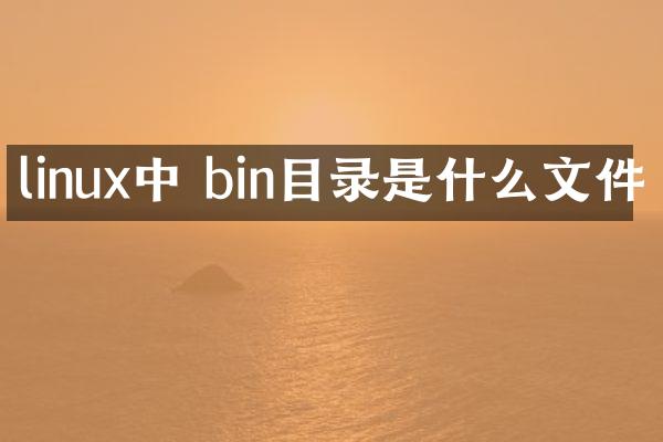 linux中 bin目录是什么文件