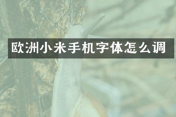 欧洲小米手机字体怎么调
