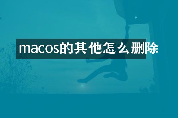 macos的其他怎么删除