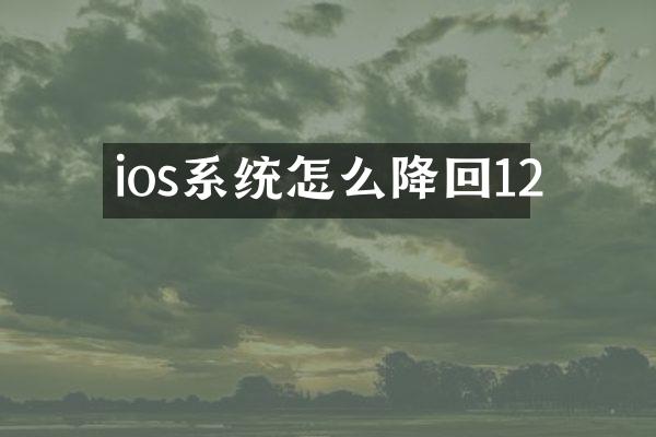 ios系统怎么降回12