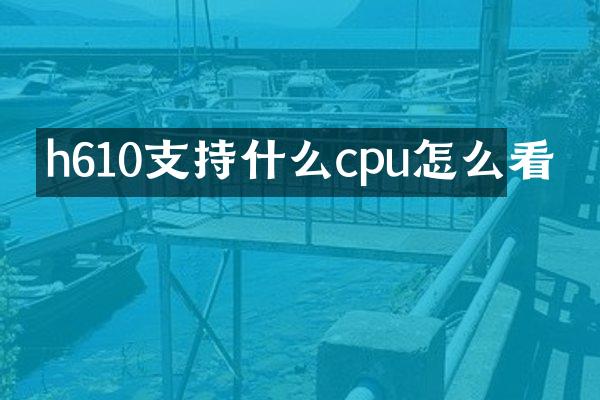h610支持什么cpu怎么看