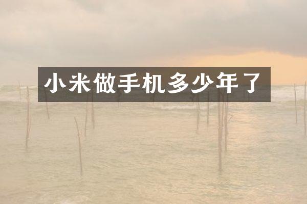 小米做手机多少年了