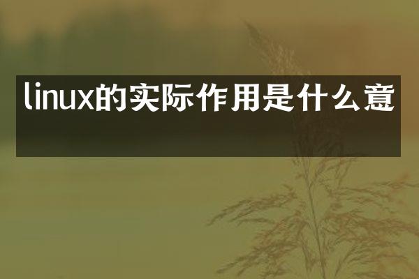 linux的实际作用是什么意思