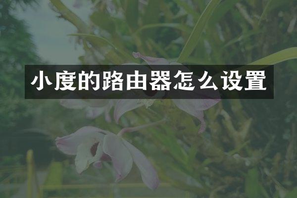 小度的路由器怎么设置