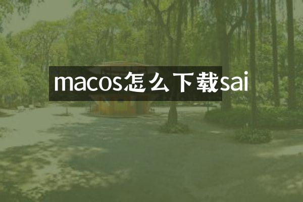 macos怎么下载sai