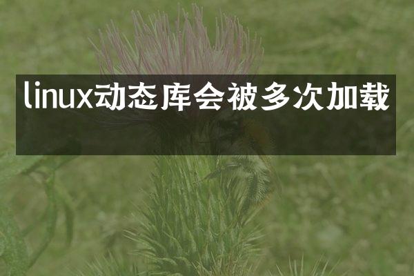 linux动态库会被多次加载吗