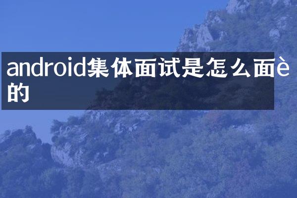 android集体面试是怎么面试的