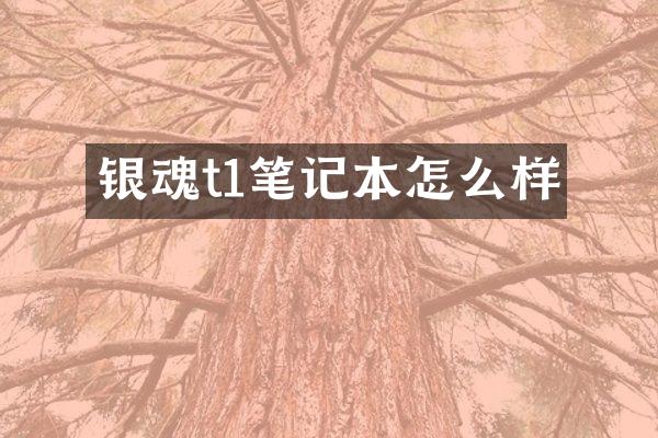 银魂t1笔记本怎么样